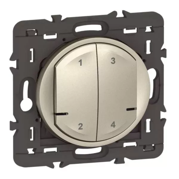 Commande sans fil 4 scénarios Céliane with Netatmo – Titane